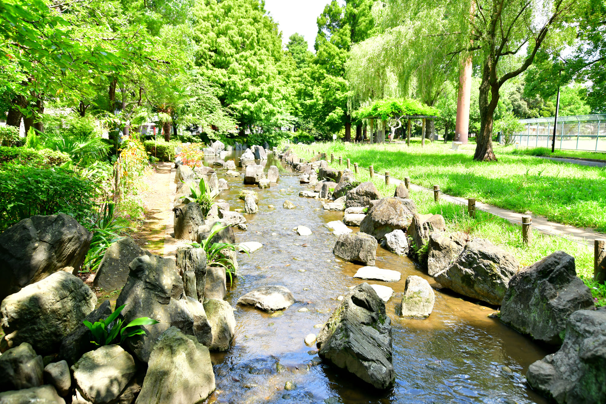 綾瀬周辺のおすすめスポット「東綾瀬公園」