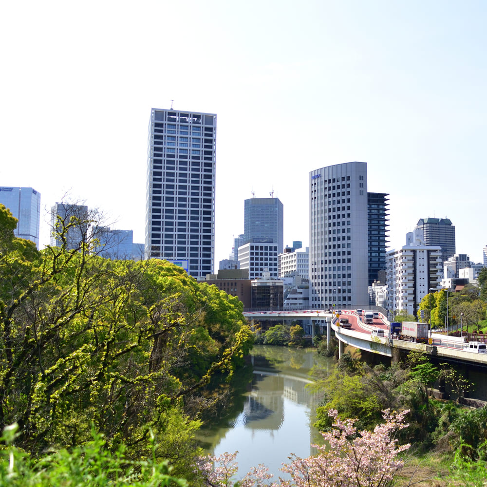 東新宿周辺のおすすめスポット「新宿御苑」