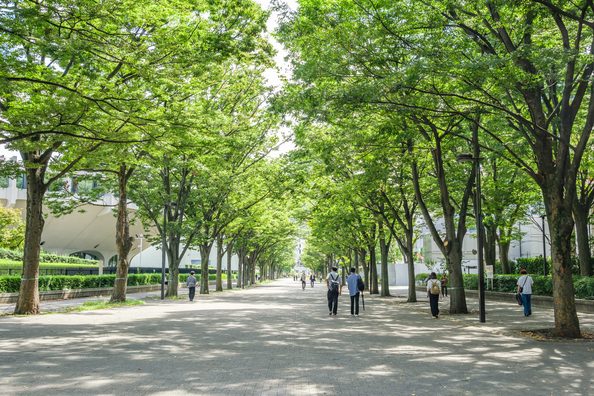 渋谷周辺のおすすめスポット「代々木公園」