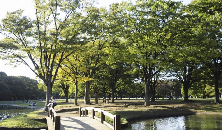 代々木・北参道周辺のおすすめスポット「代々木公園」